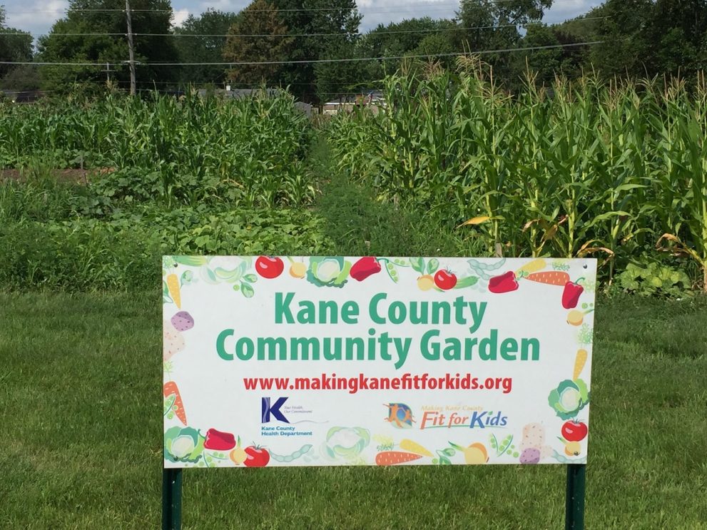 community-garden-rules-making-kane-county-fit-for-kids